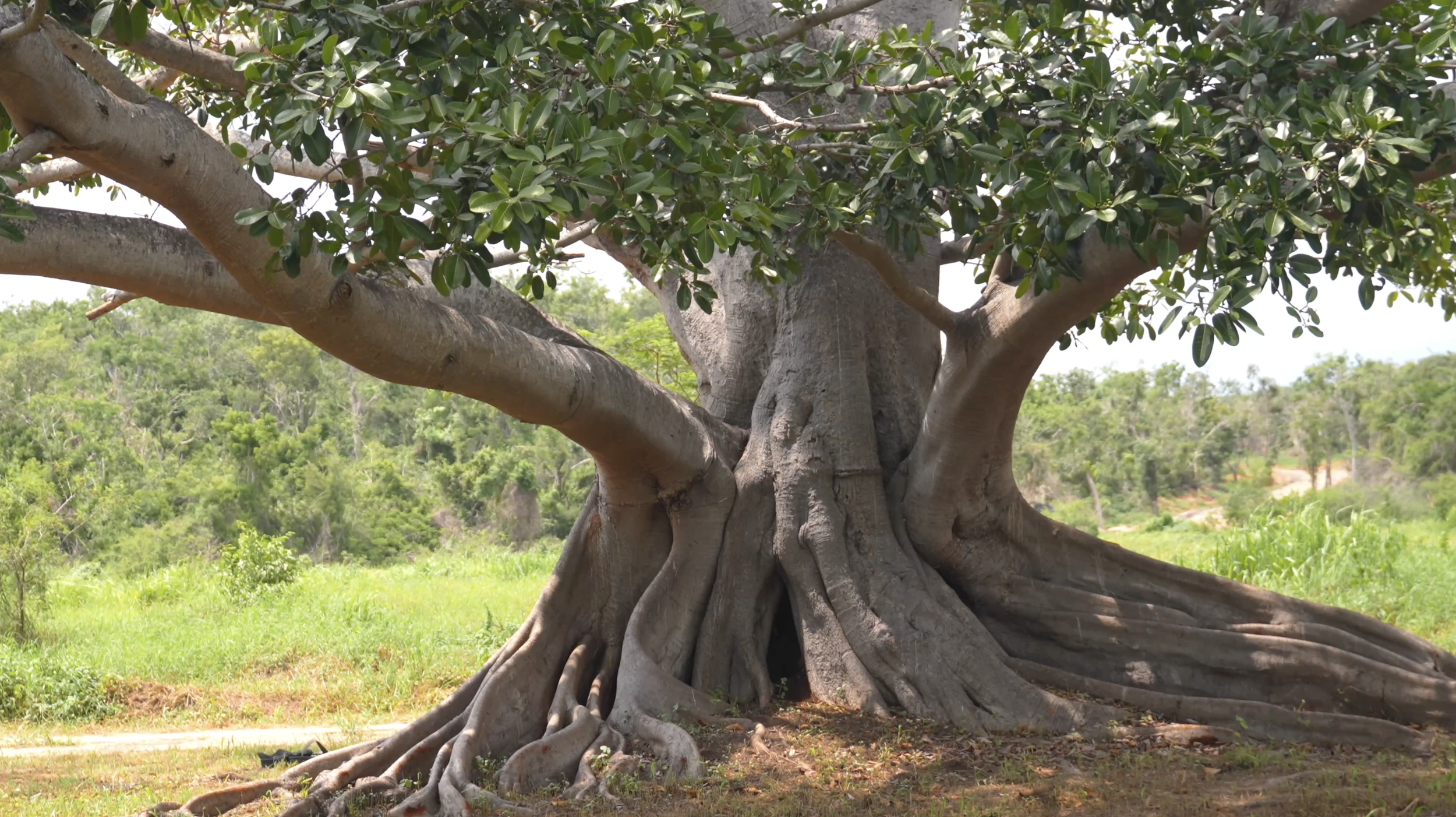 Screenshot 2026-01-14 at 11.41.41 AM.png