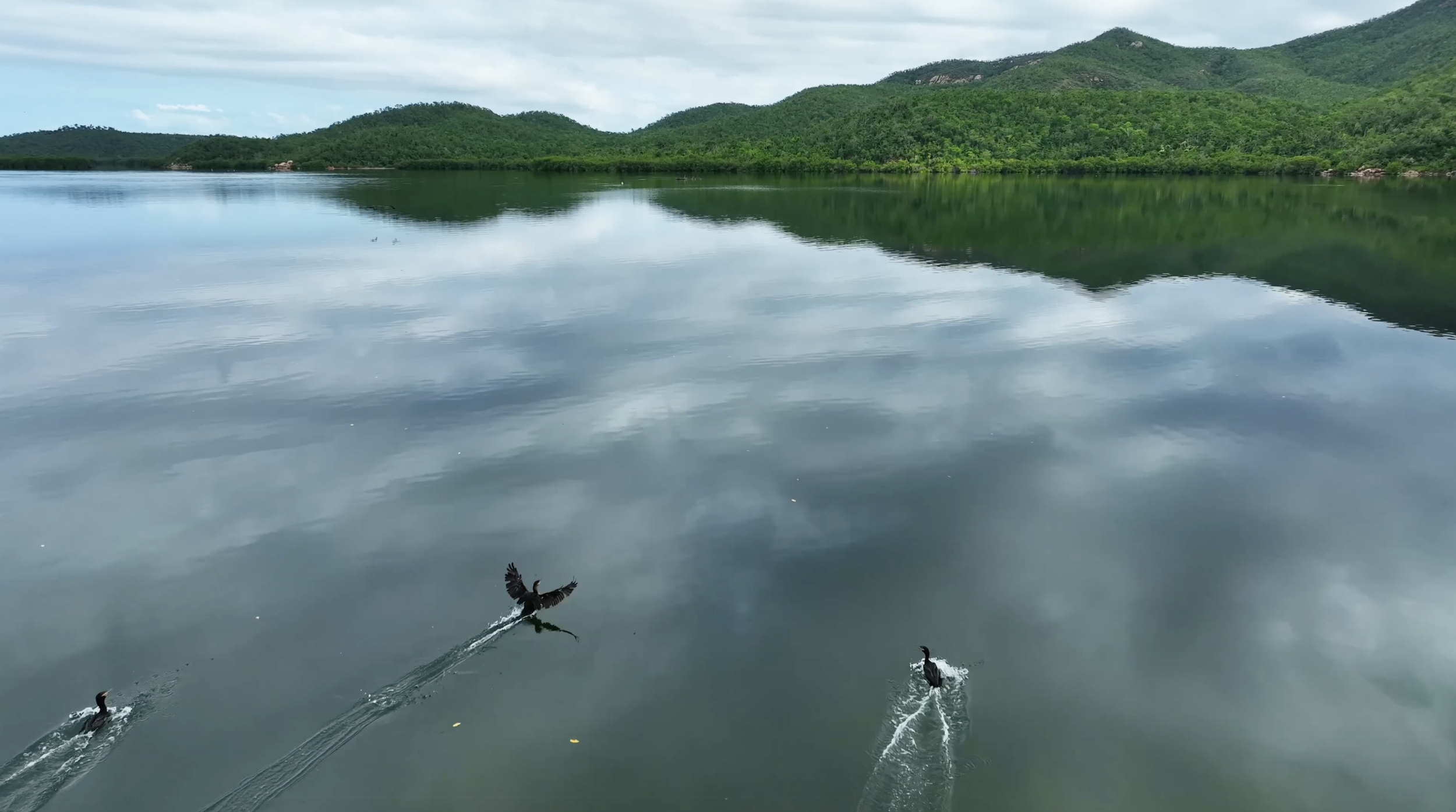 Screenshot 2026-01-14 at 11.40.46 AM.png