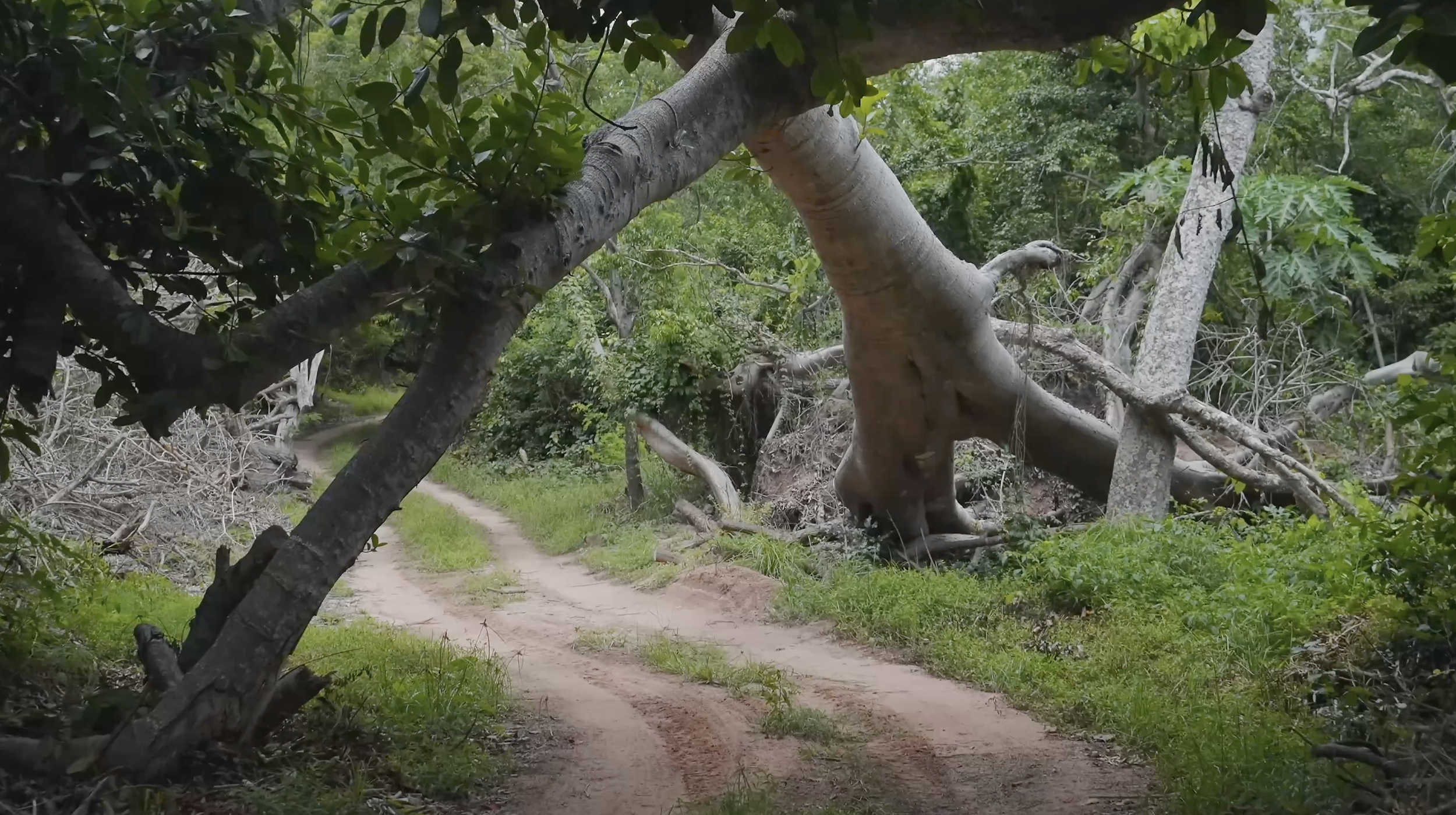 Screenshot 2026-01-14 at 11.41.17 AM.png