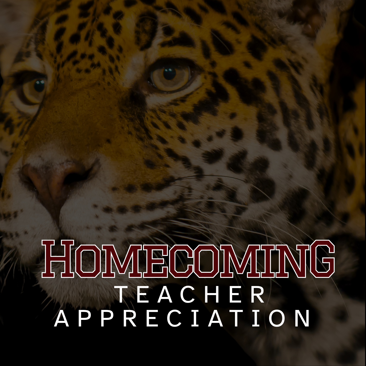 Homecoming Game / Teacher Appreciation Game