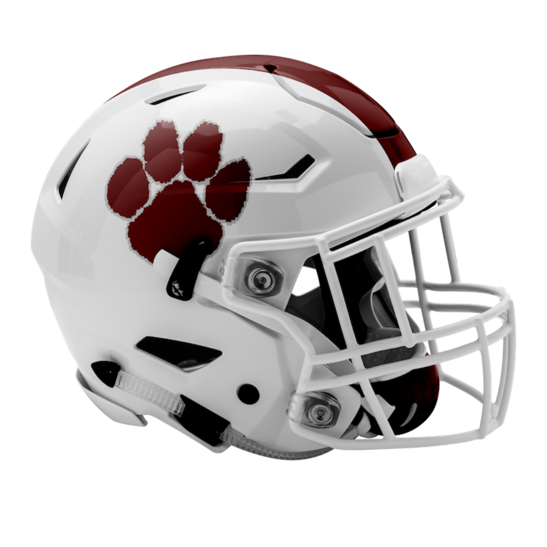 custom speedflex football helmet Customer Build Youth SpeedFlex  Green Gridiron, Inc