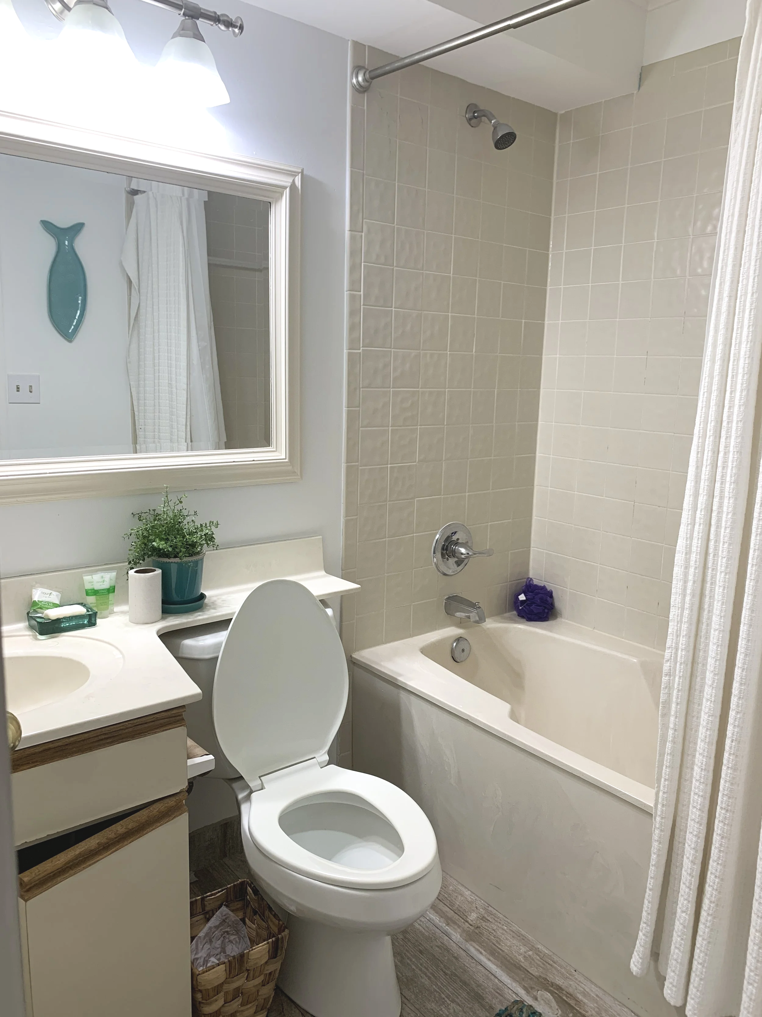 Guest Bathroom Before Renovation