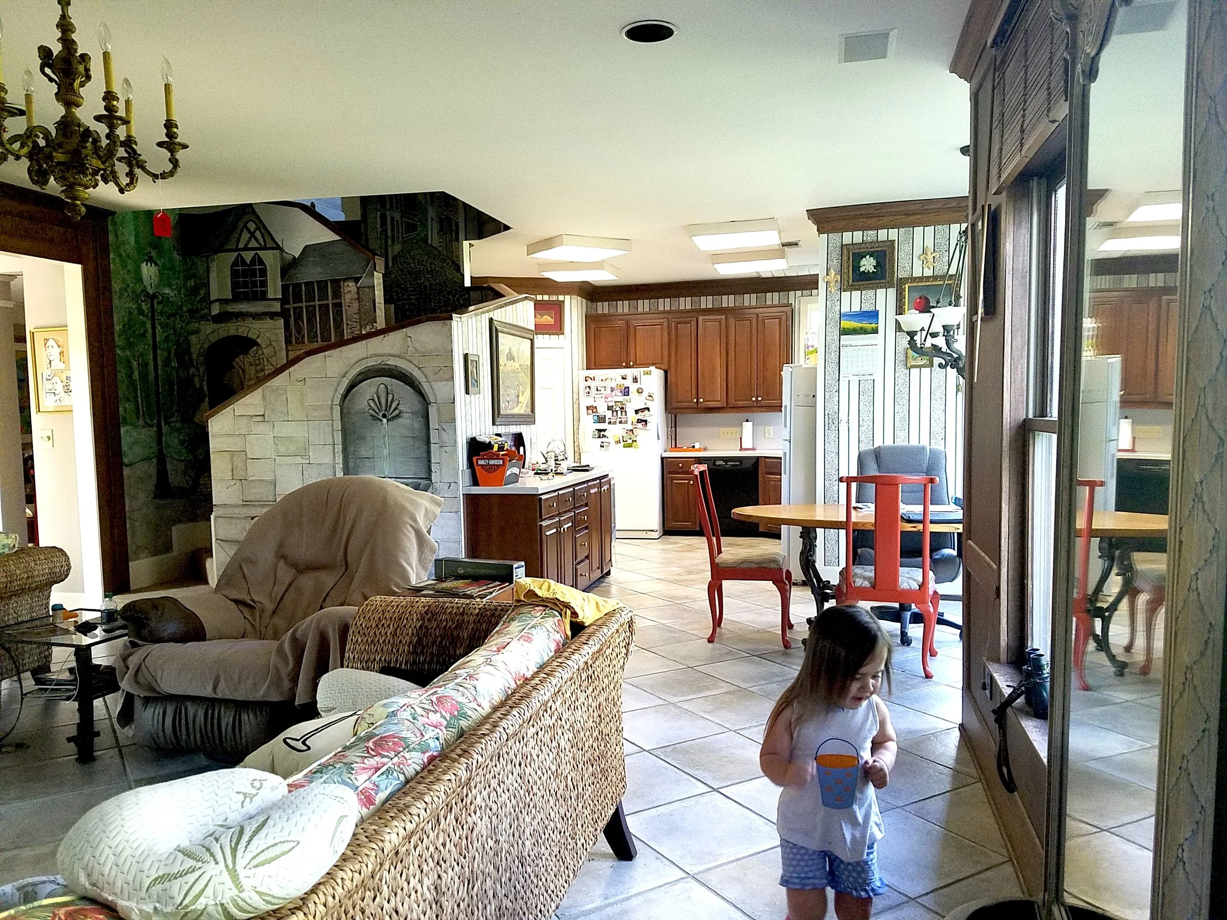 Living Room from back door before.jpg