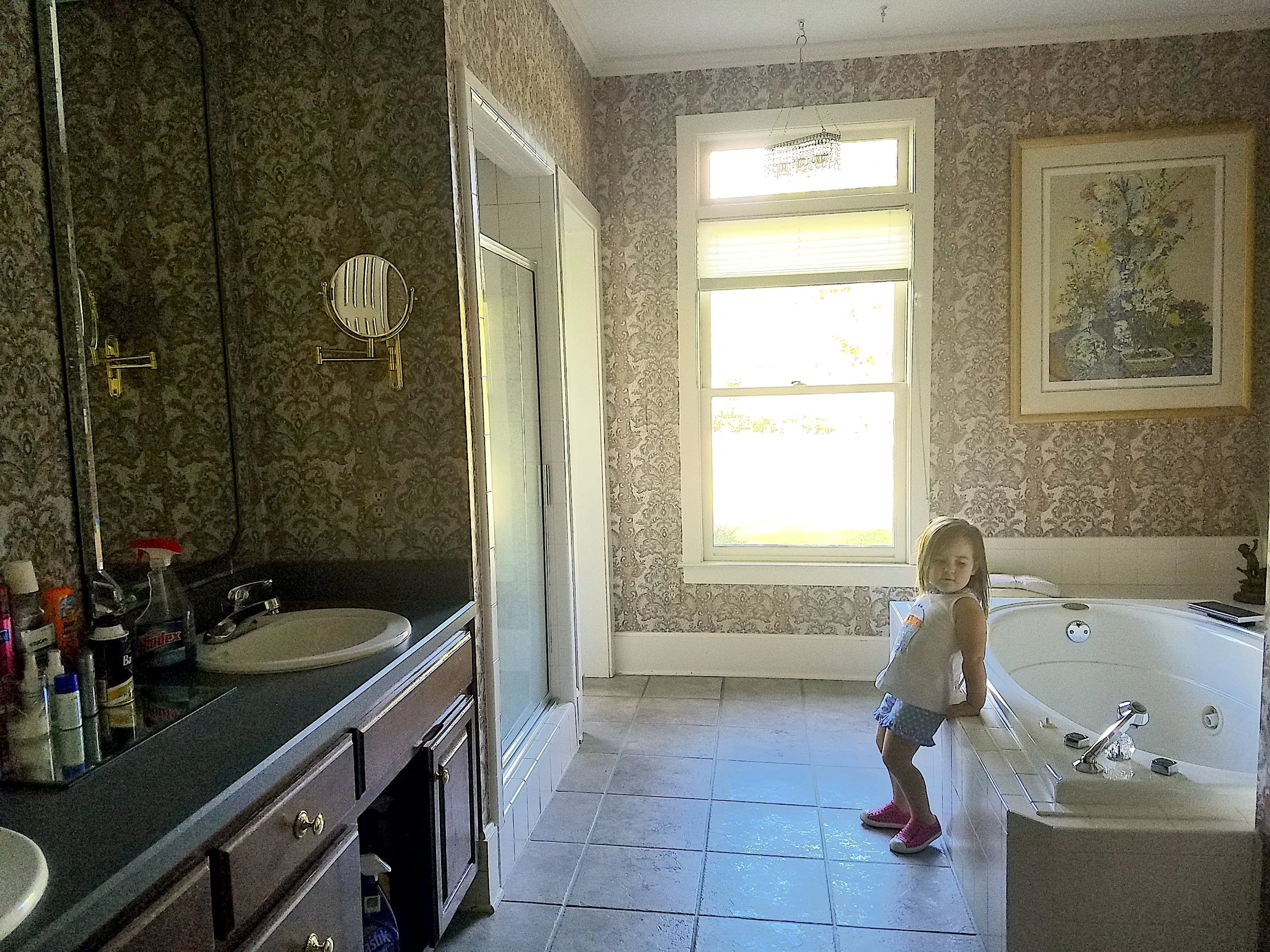 Pike Road Farm House Primary Bath Before Renovation