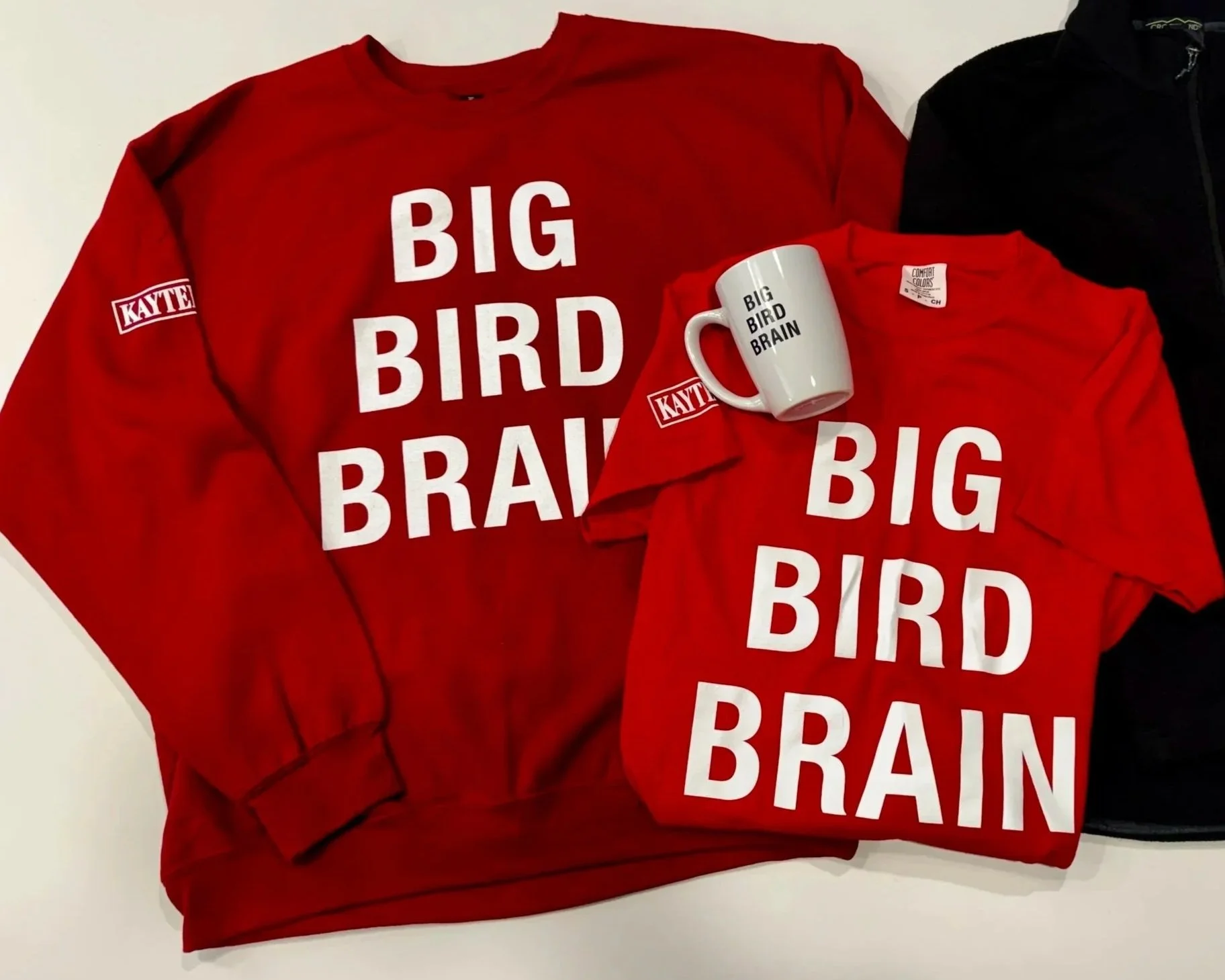 Kaytee_BigBirdBrain_Merch_2026.jpg