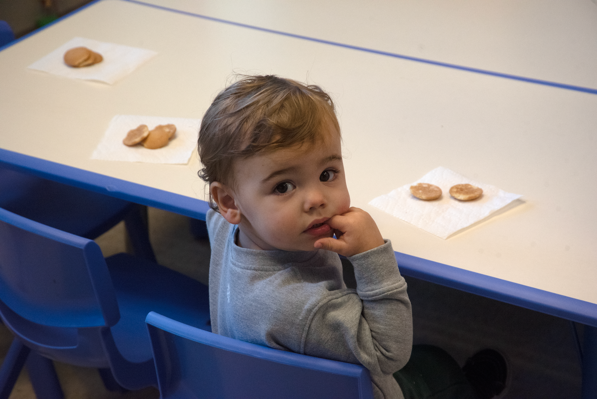 Young child sitting at a table with snack food, with cookies on napkins in front of him, staring at the camera and biting his finger.