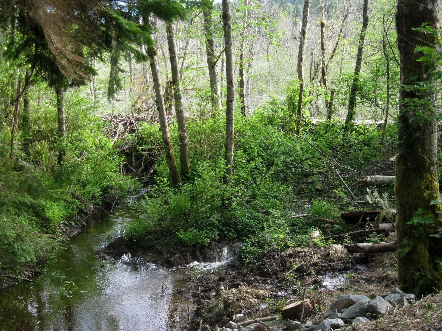 Anti-Aircradt Peak.jpg