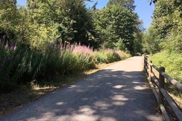 Bridle Crest Trail.jpg