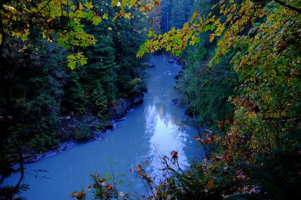 Lime Kiln Trail.jpeg