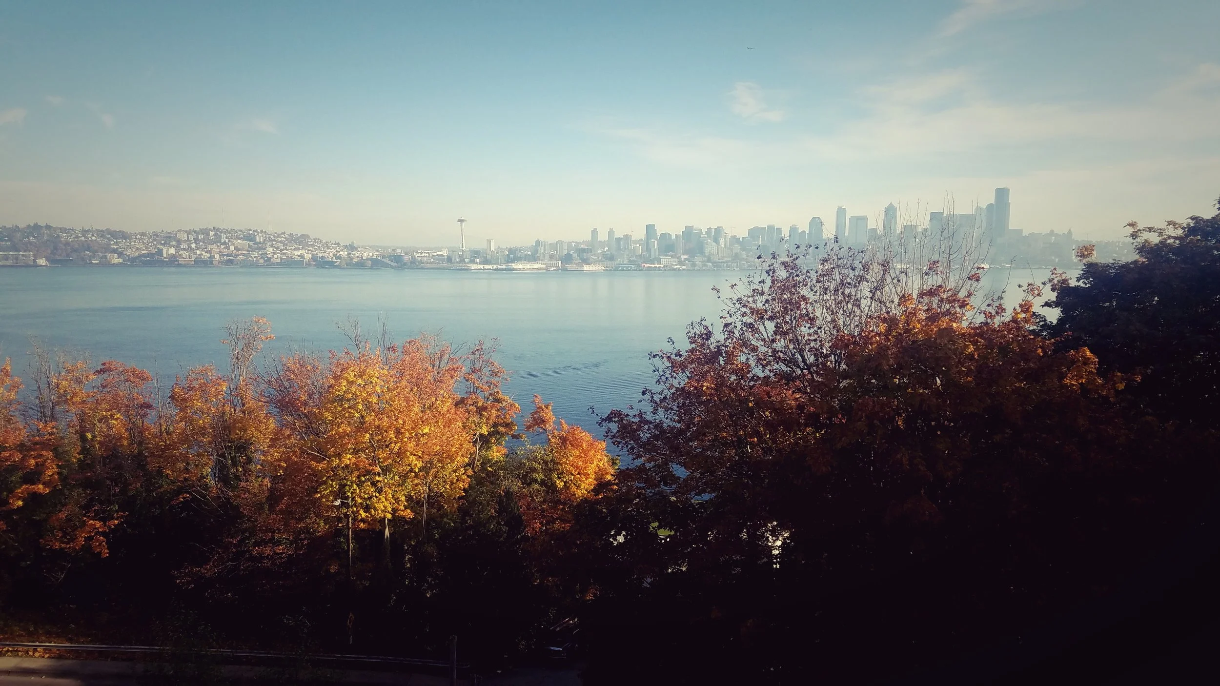 Trek - Alki North / Hamilton Park