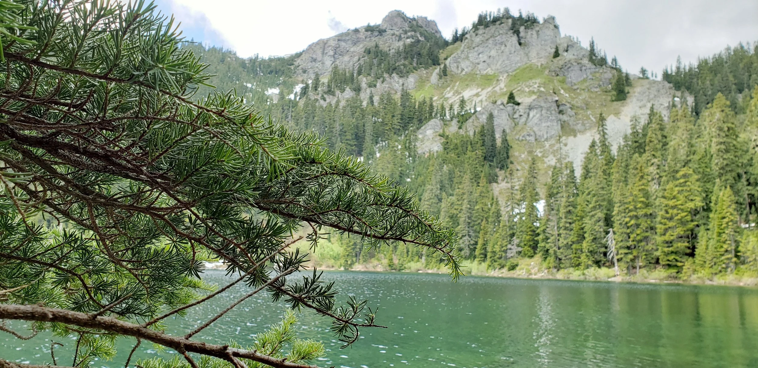 Sunday Hike - Cold Creek Loop via Tinkham and Silver Peak