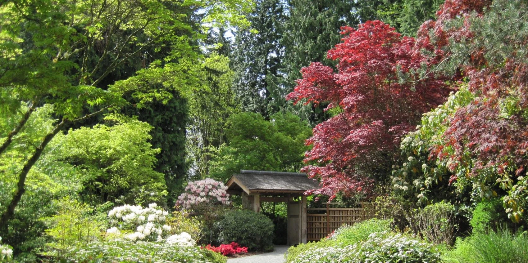 Bellevue-Botanical-Garden.jpg