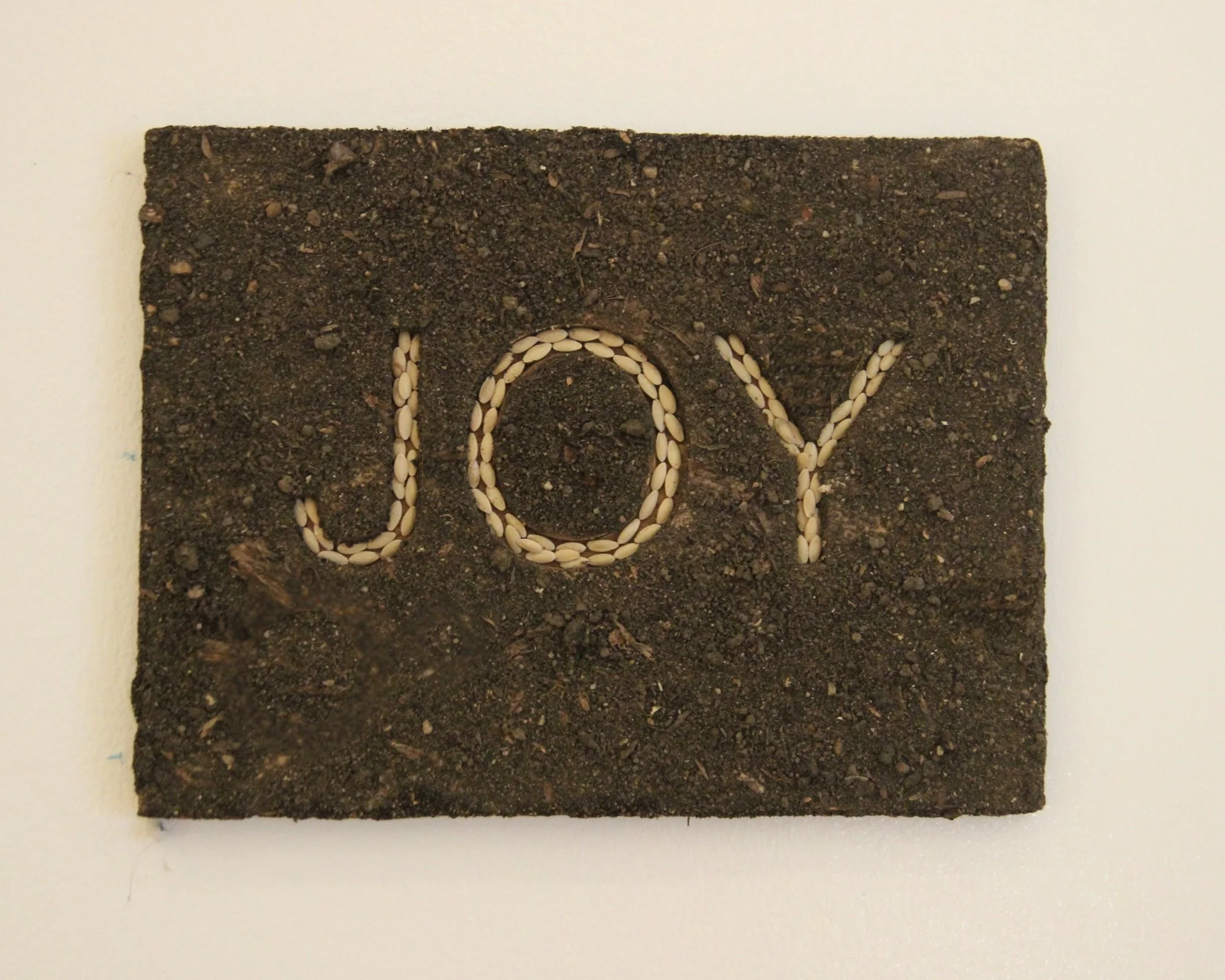 Joy