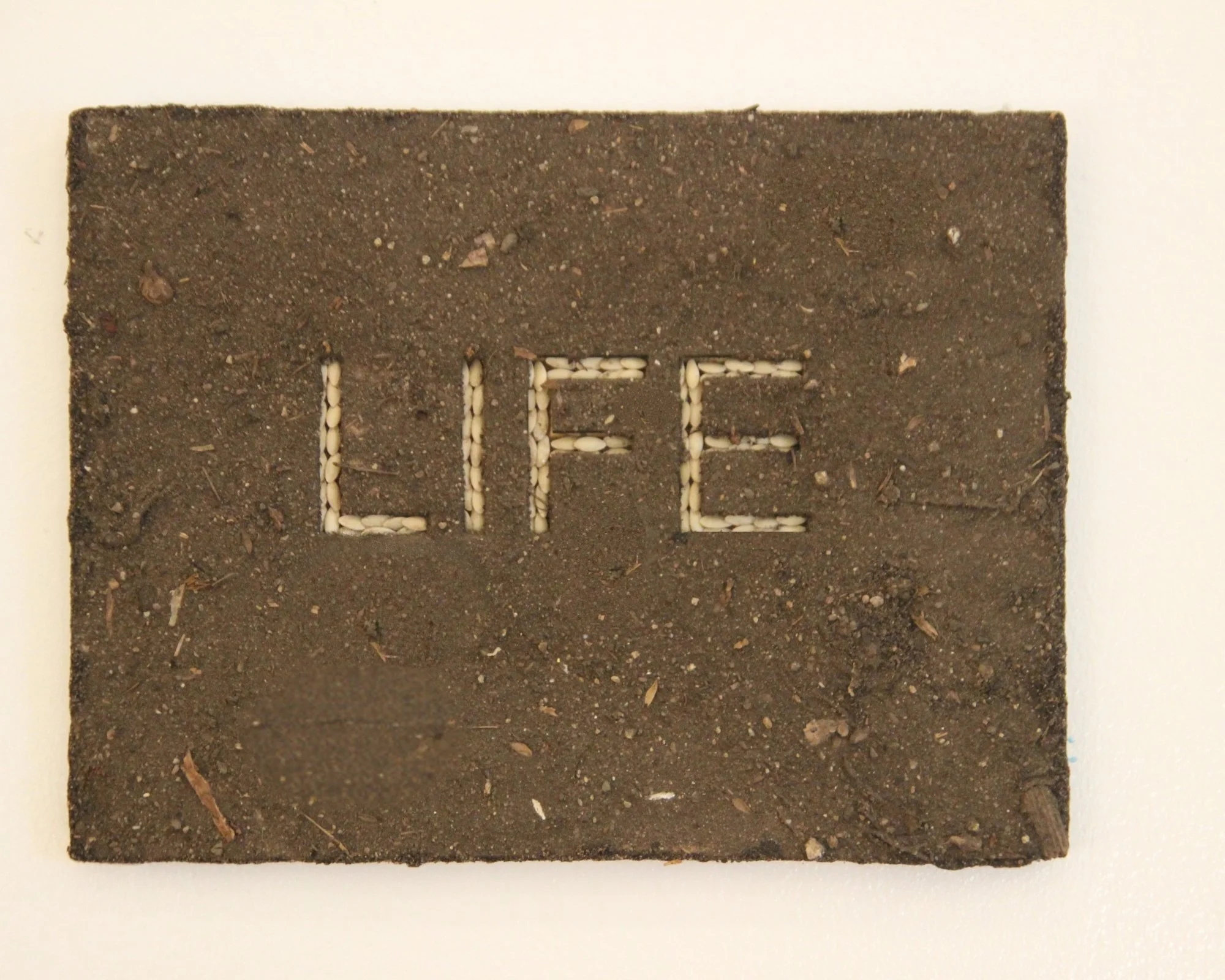 Life