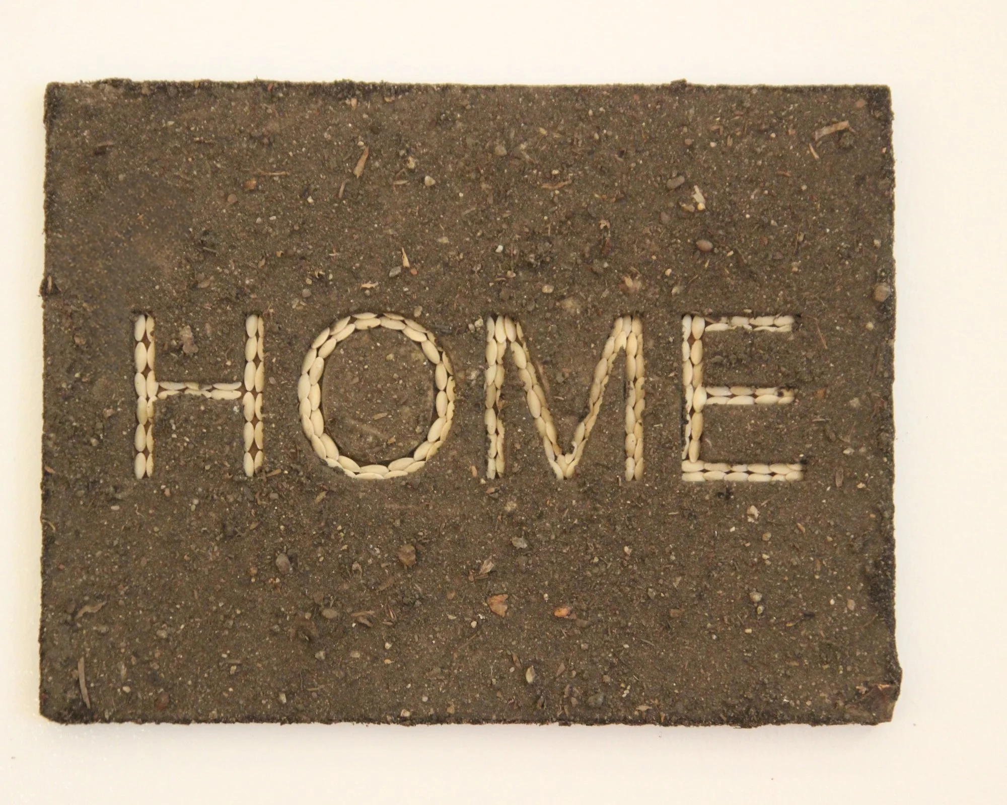 Home