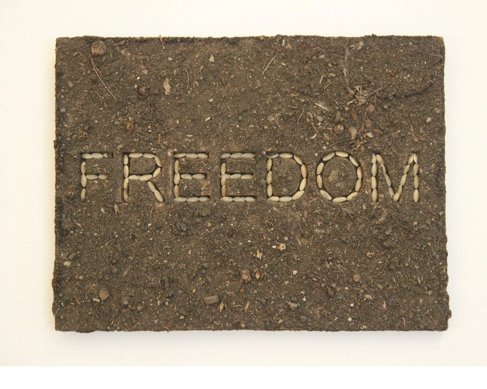 Freedom
