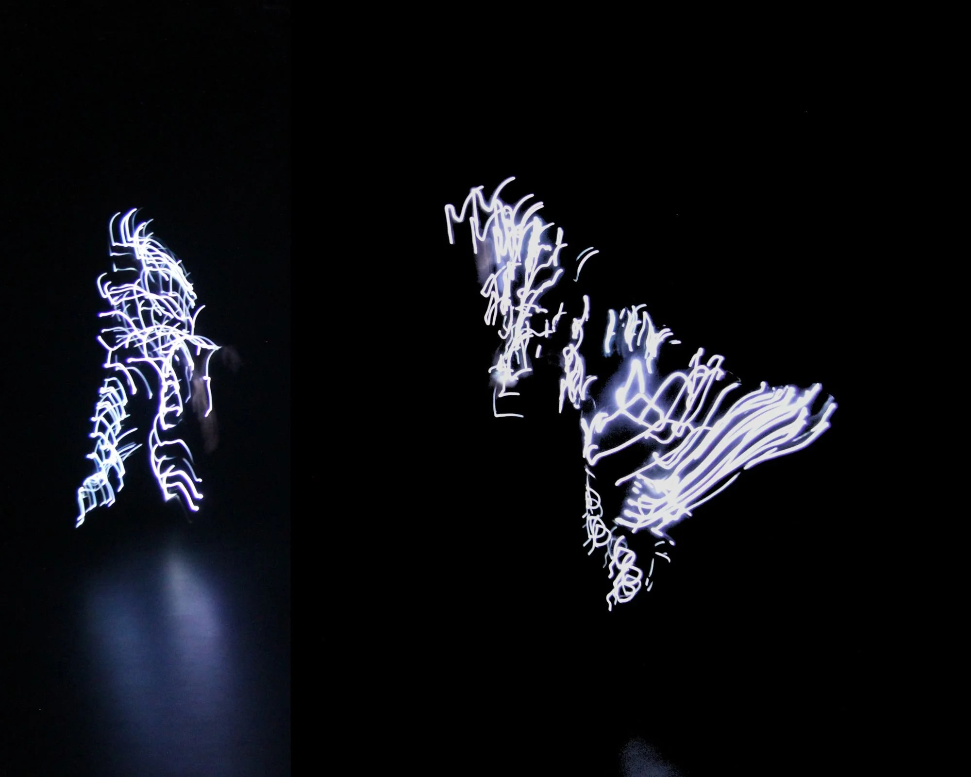 Fractals Of Light-2.jpg