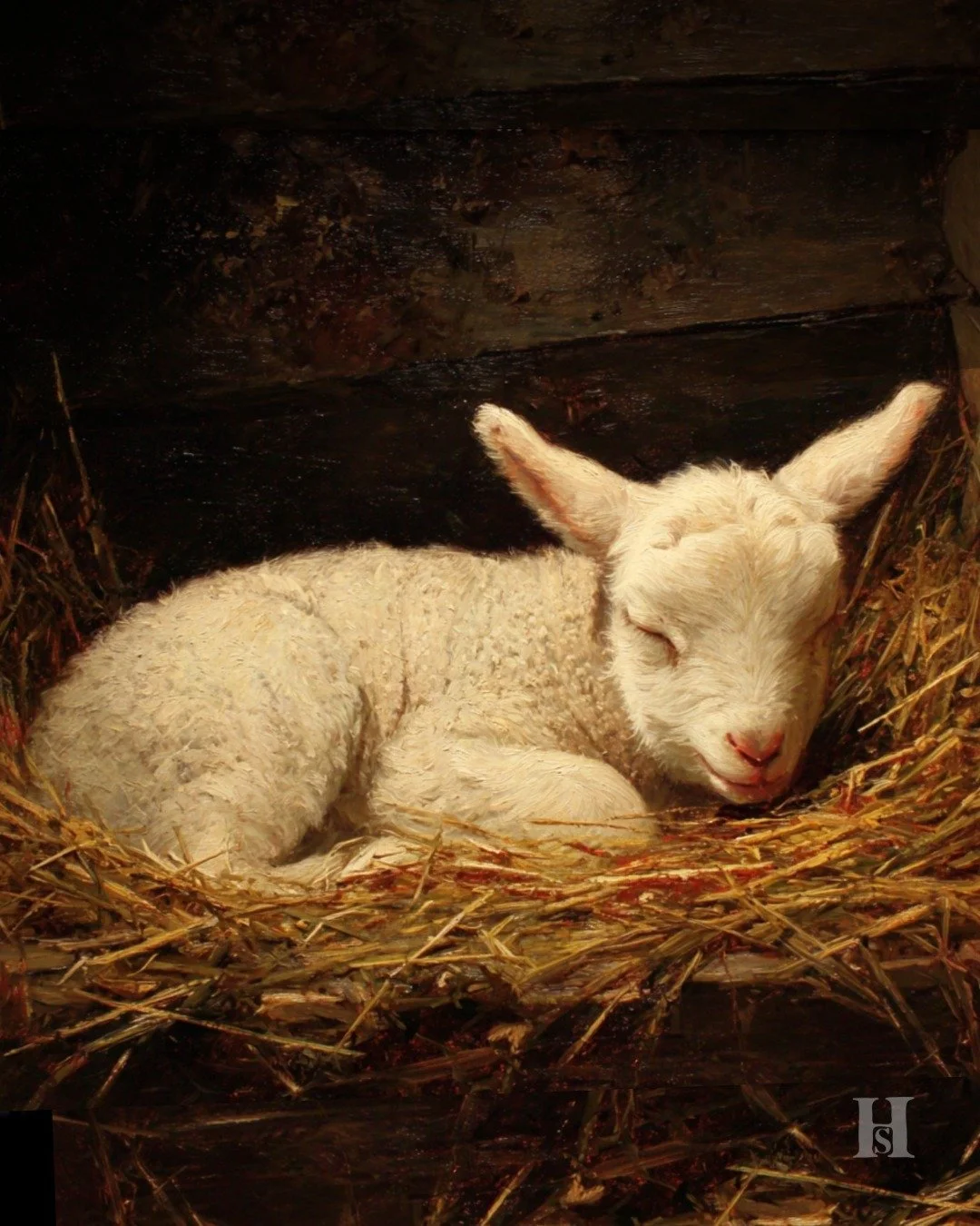 This unsuspecting and sweet little lamb was one of the show stealers during Open Studio. So much so that we decided to add a few more Open Studio dates and times in case you missed it! 

Join us for an upcoming Open Studio in December and secure a Ch