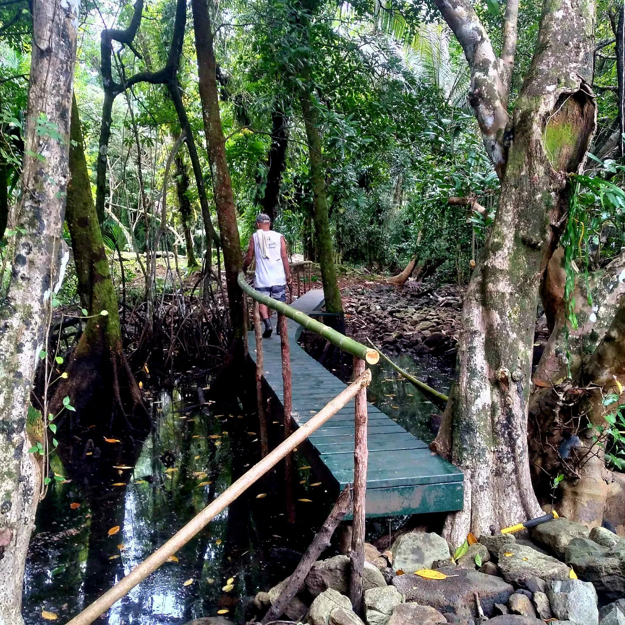 Milngetmokl ra Beluu e omtechei a rail