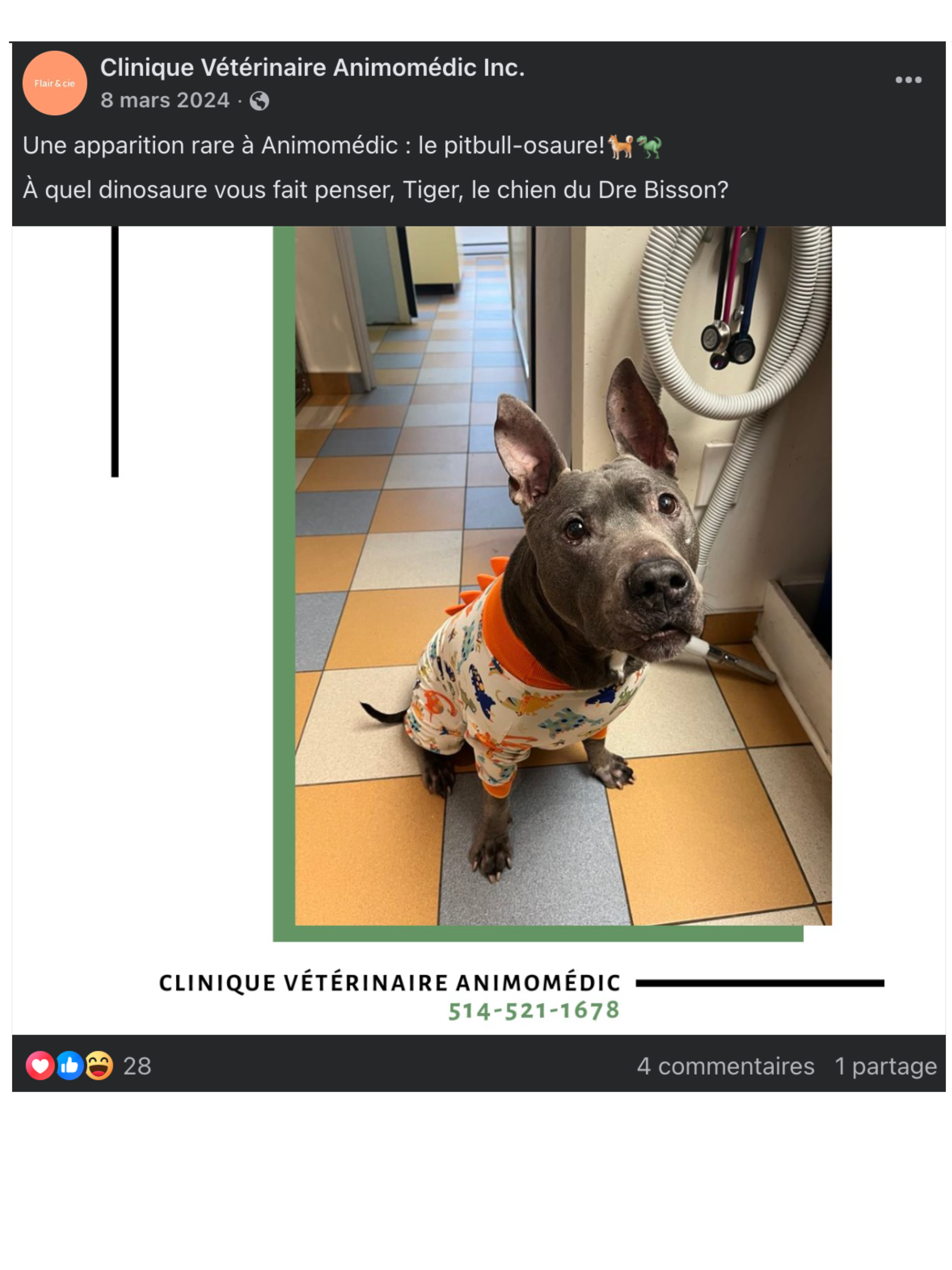 Design sans titre (14).png
