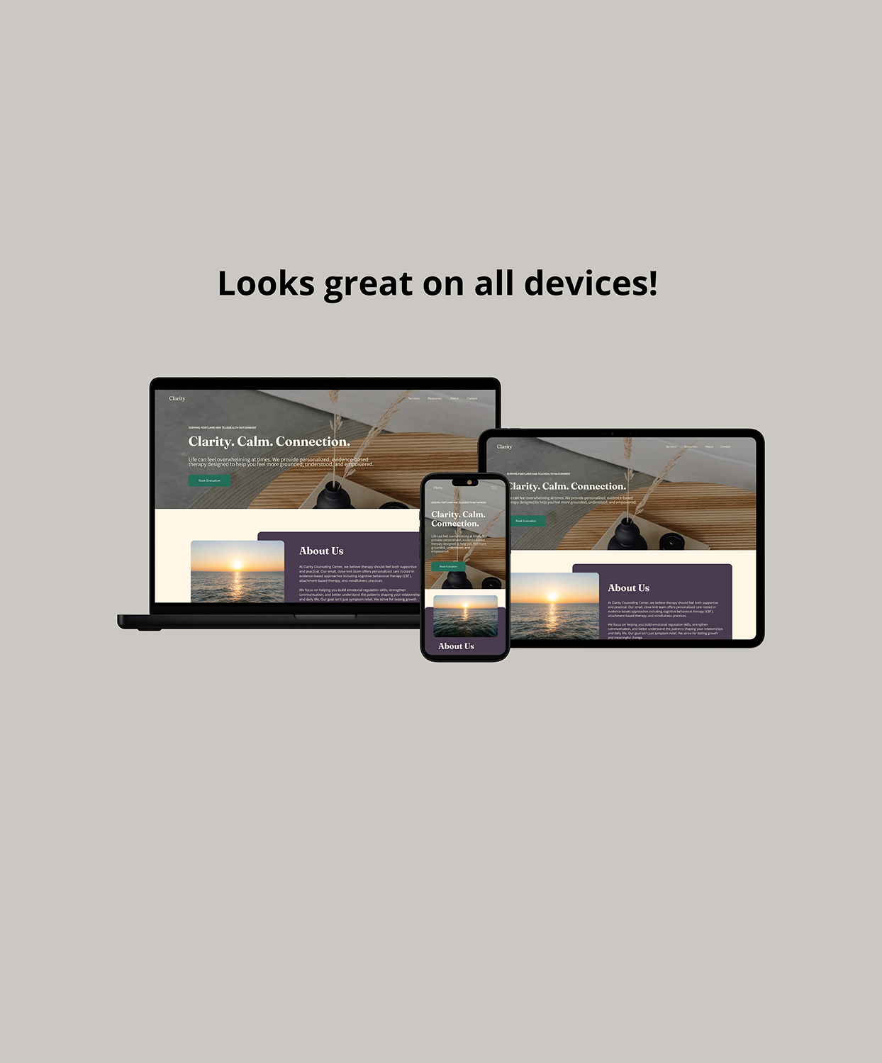 Clarity Responsive Product Pic.png