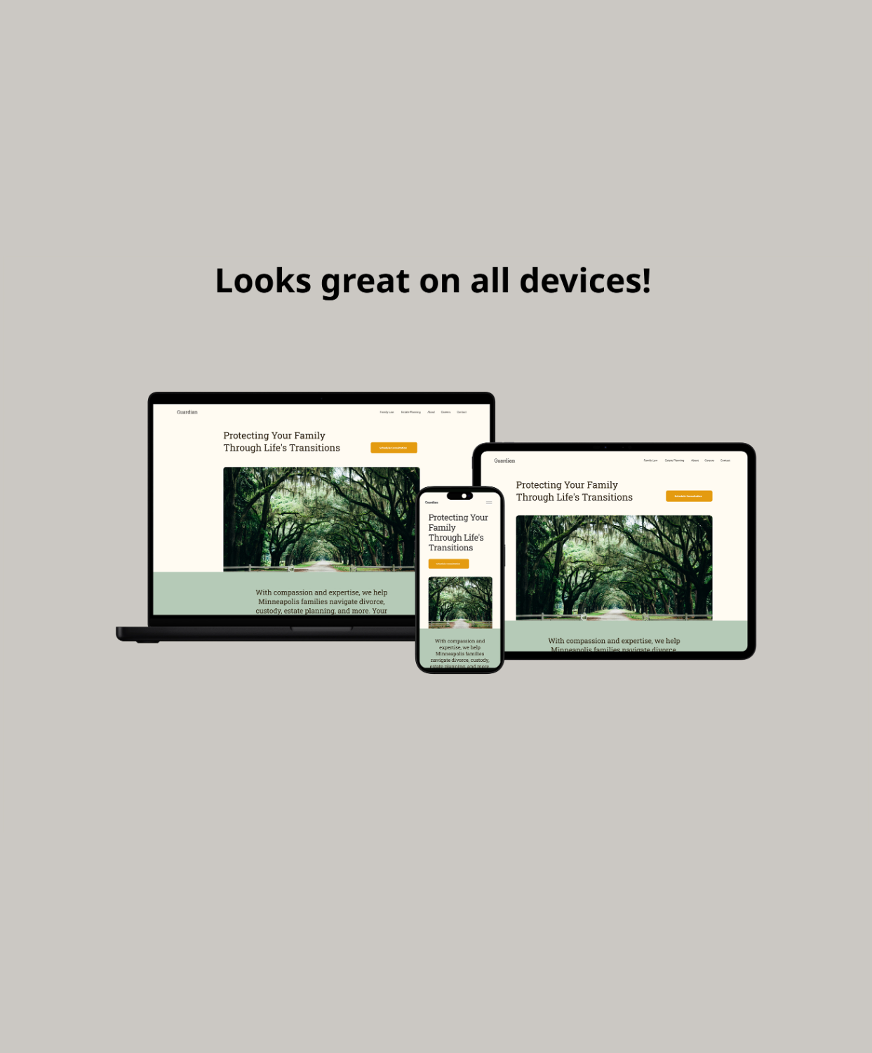 Guardian Responsive Product Pic.jpg