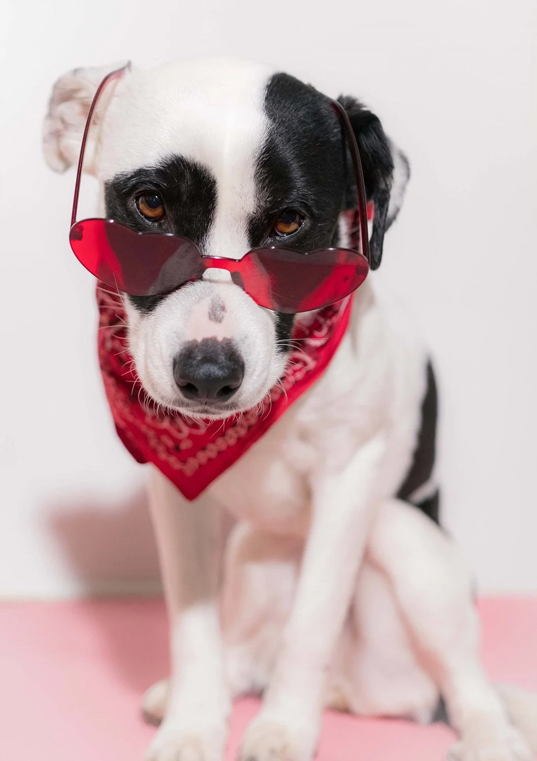 Grace's Valentine.jpg