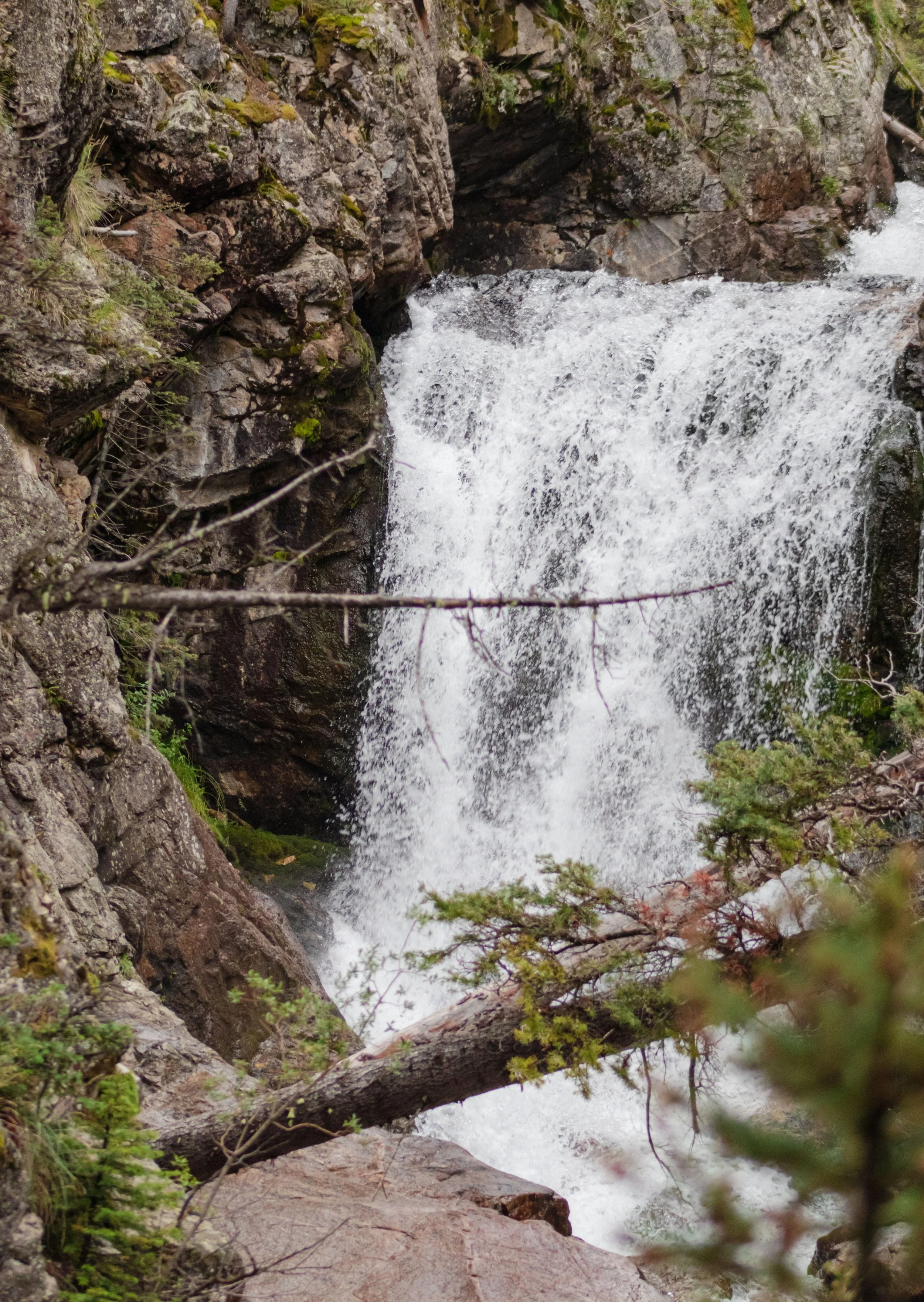 Salida Landscape_ 1.jpg