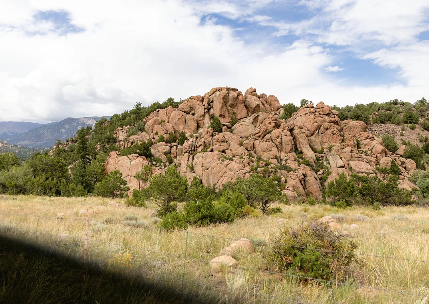 Salida Landscape_ 10.jpg