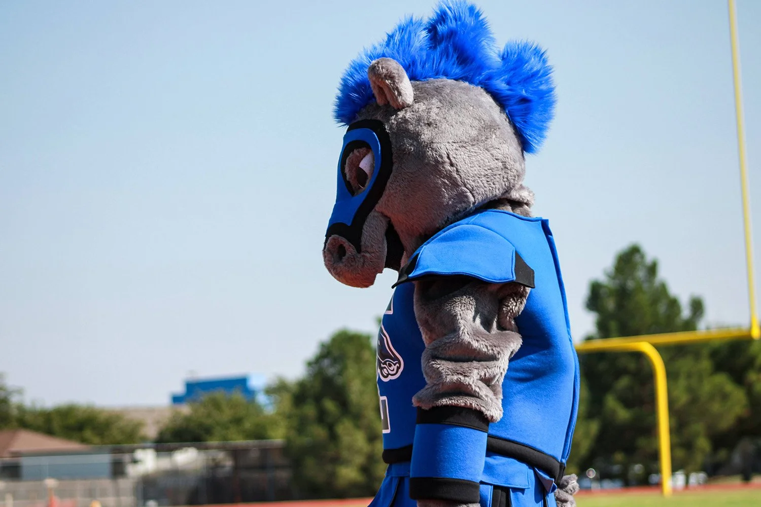 Lauren Friday_10-8-20 (85).jpg