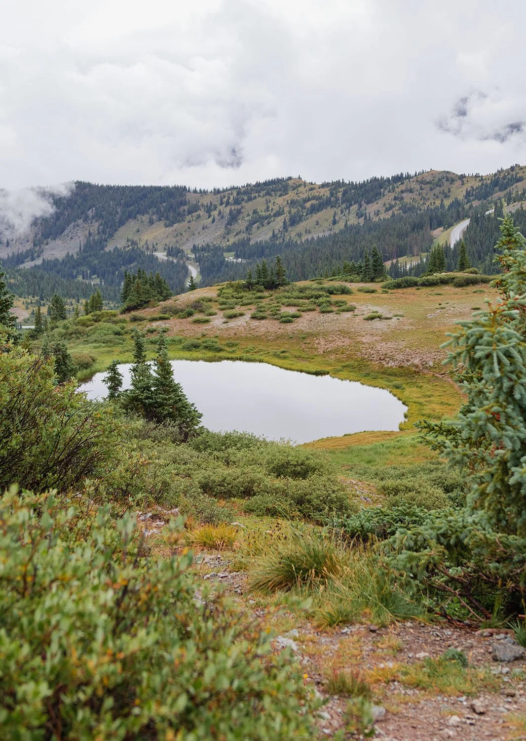 Salida Landscape_ 8.jpg