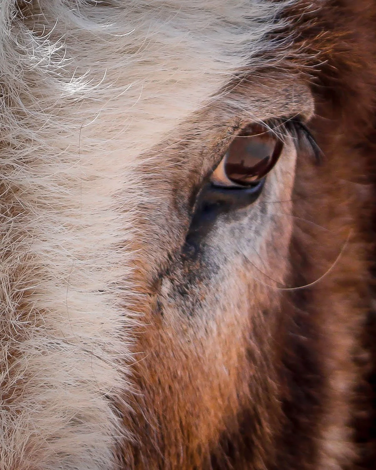 Friday Lauren_ Breadth_ 12.jpg