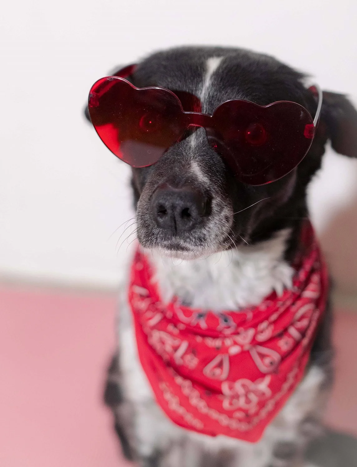 Sally's Valentine.jpg