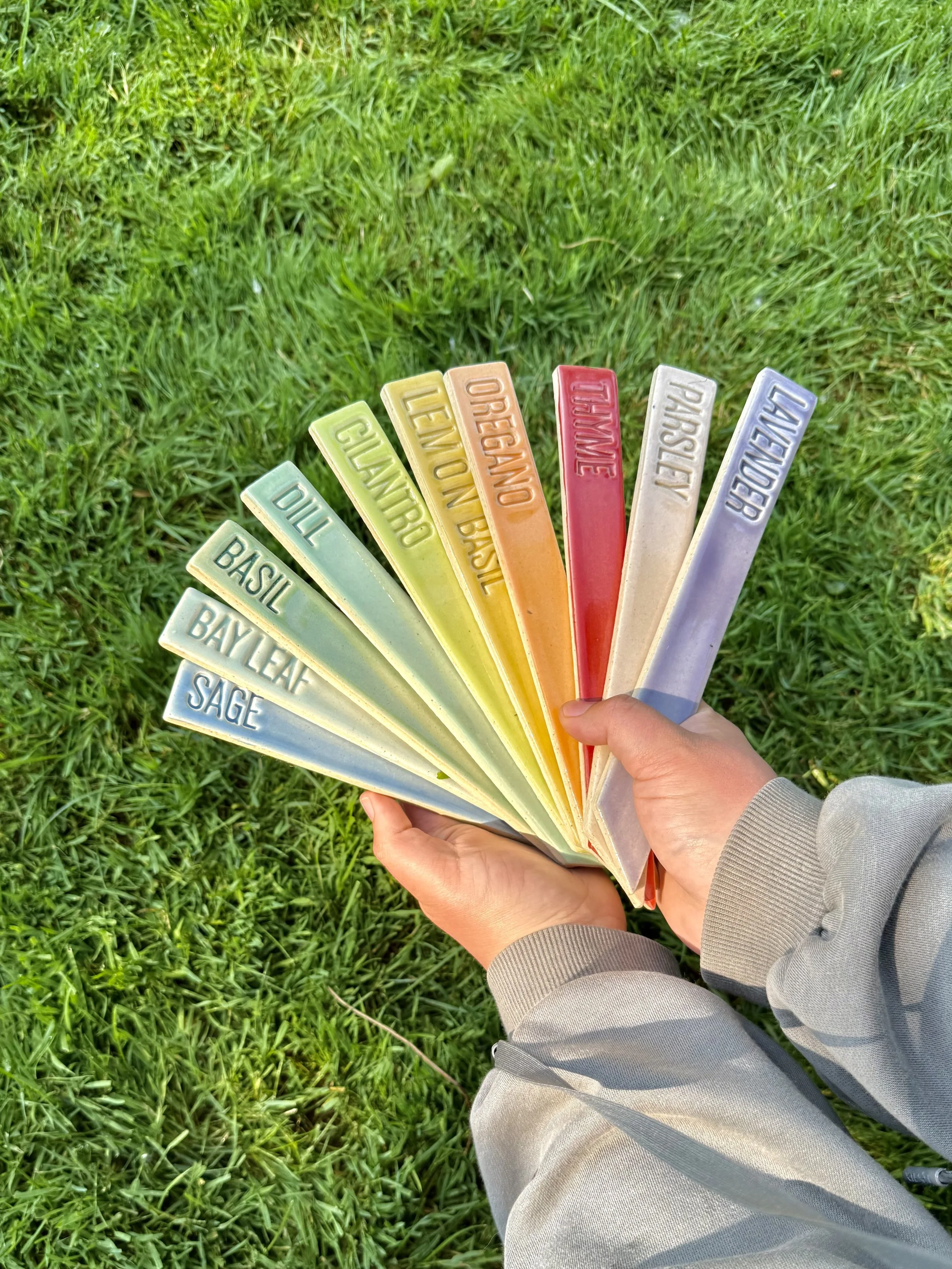 Person holding a fan of colorful herb and spice labels outdoors on grass, including sage, bay leaf, basil, dill, cilantro, lemon, oregano, turmeric, paprika, parsley, and lavender.