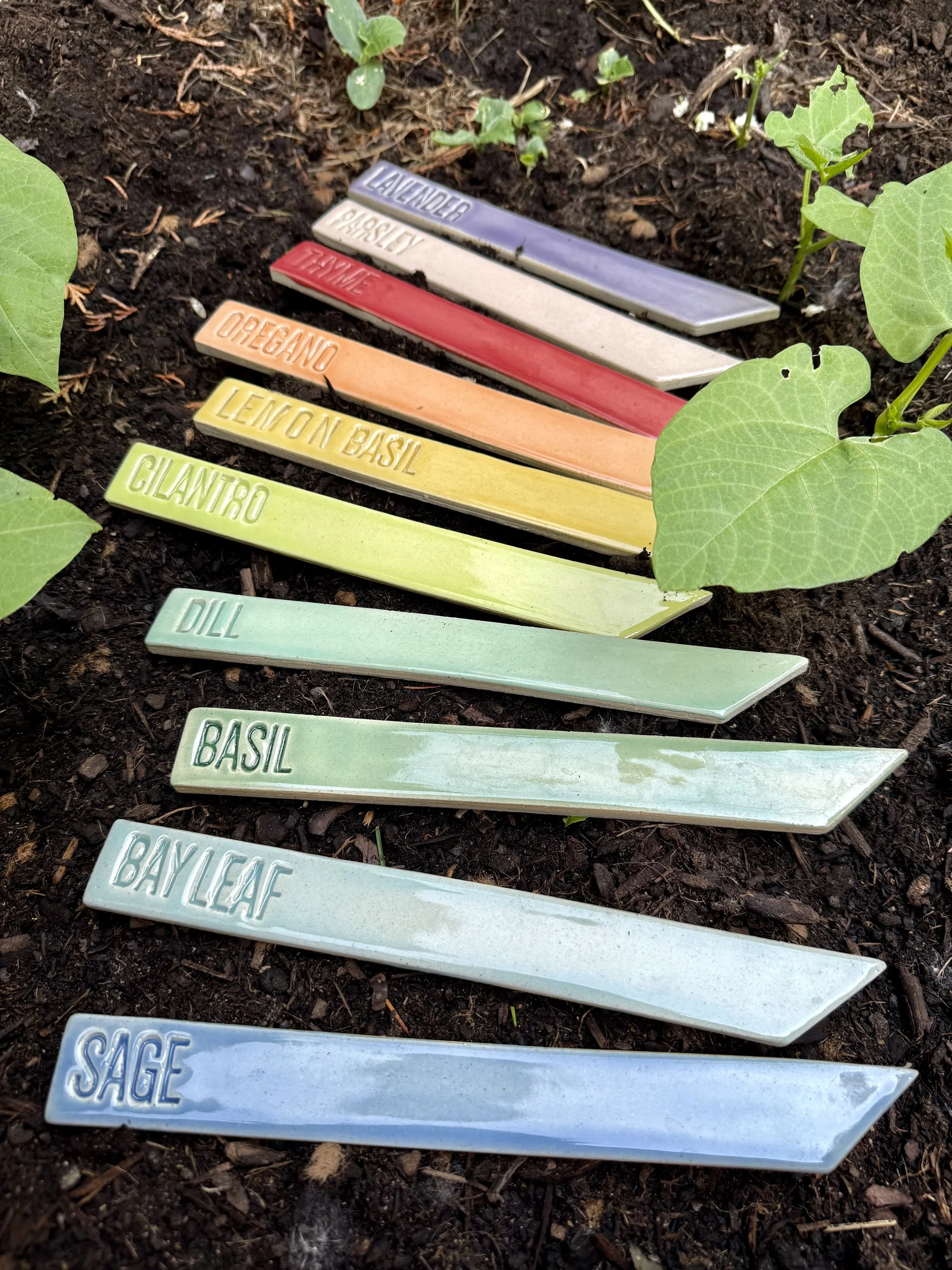 Colorful garden marker sticks labeled with herbs (Lavender, Parsley, Thyme, Oregano, Lemon Basil, Cilantro, Dill, Basil, Bay Leaf, Sage) lying on soil among green plant leaves.