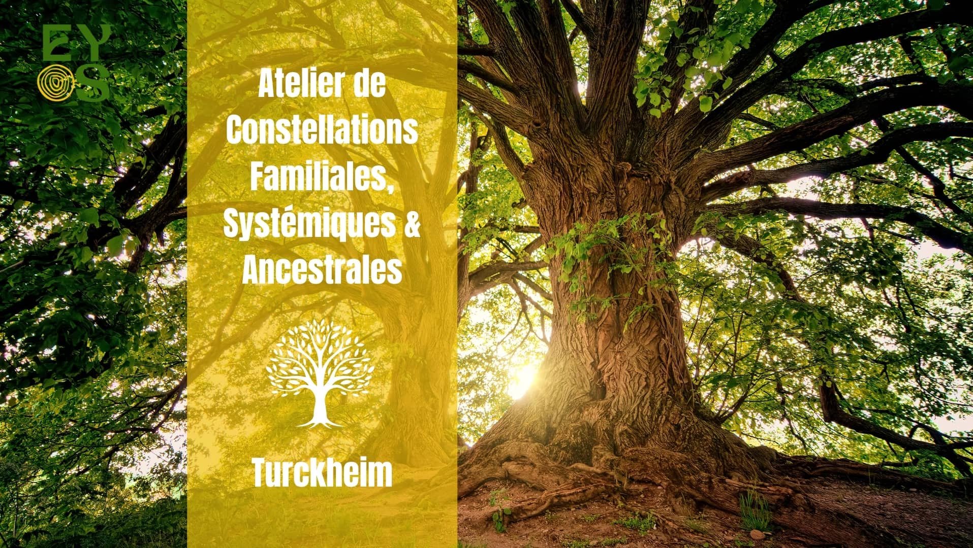 Atelier de Constellations Familiales, Systémiques & Ancestrales