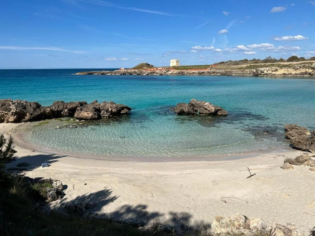 5. surroundings (5).jpg