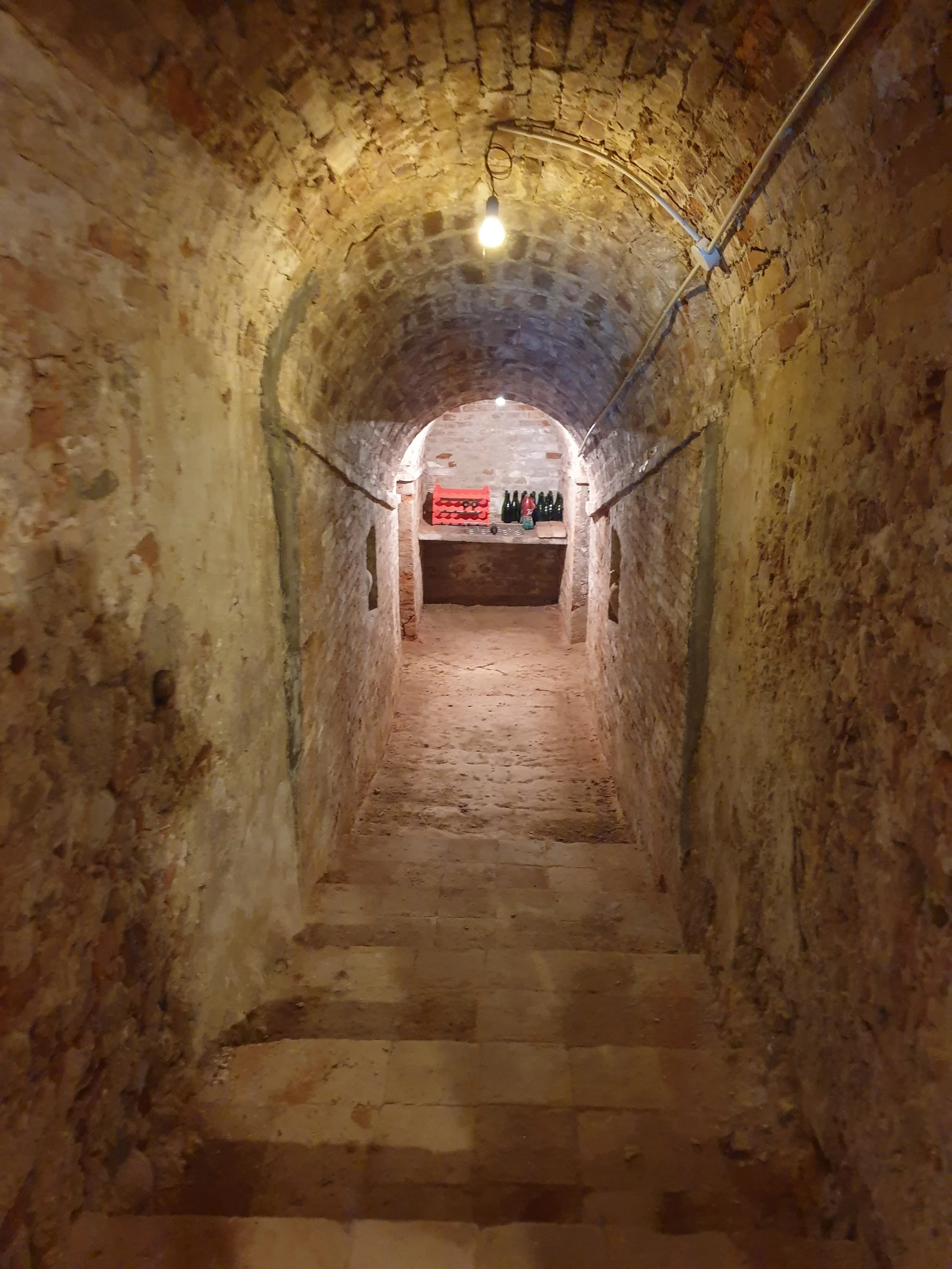 5. cellar (2).jpg