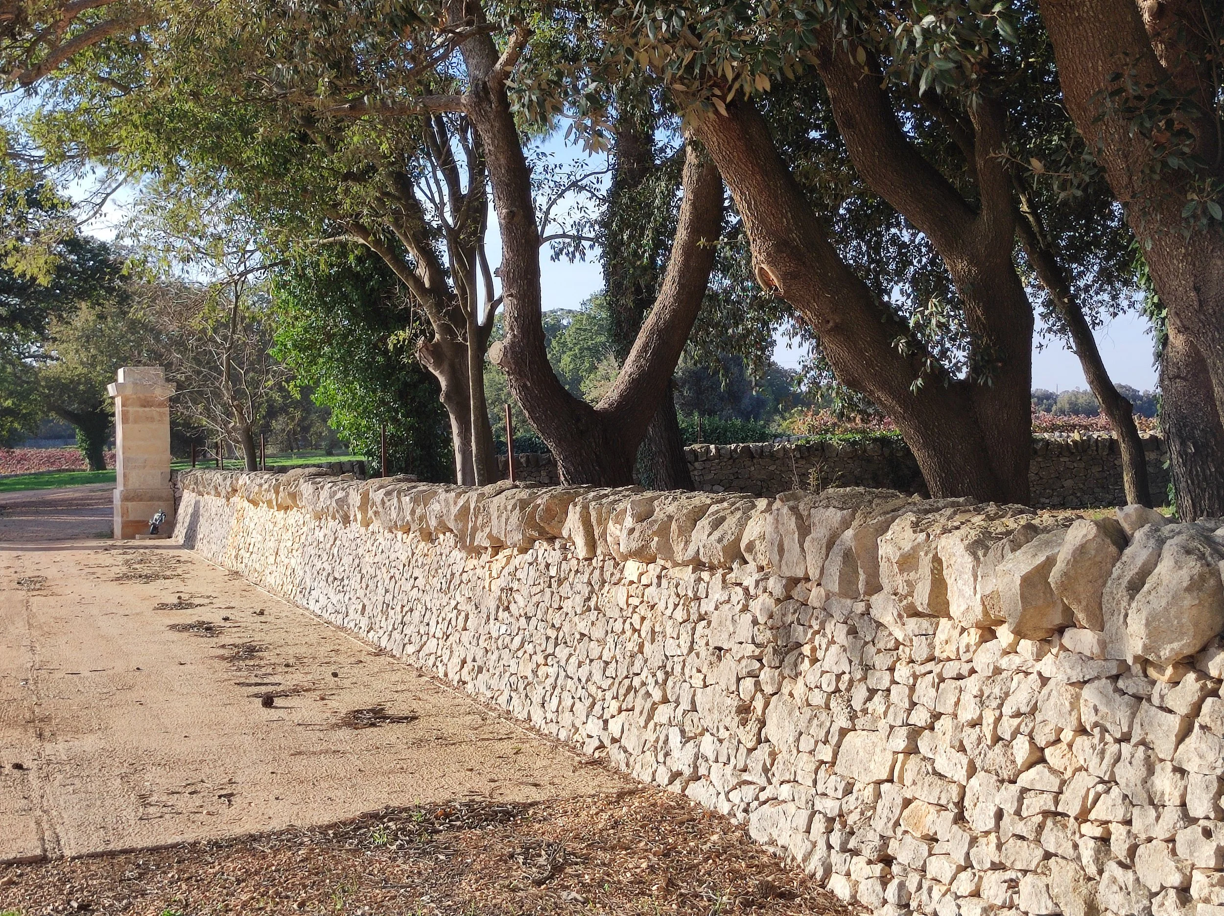 7. exteriors and annex (10).jpg