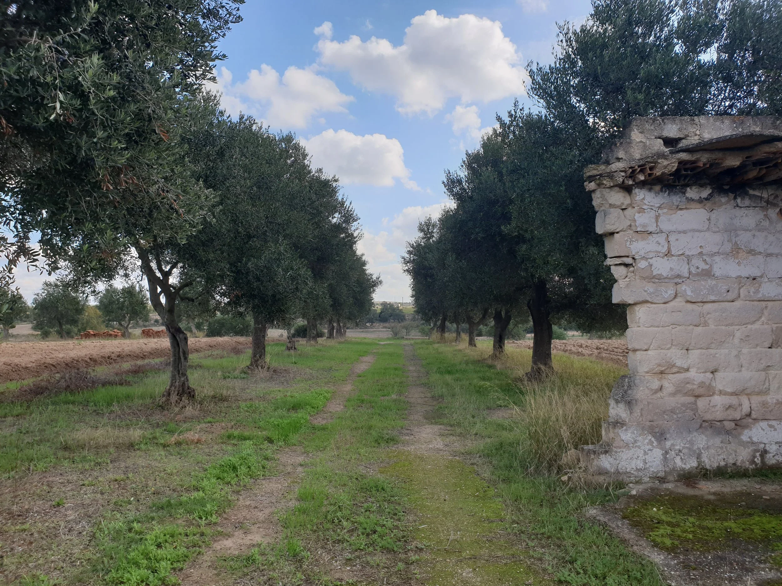 5. surroundings (9).jpg