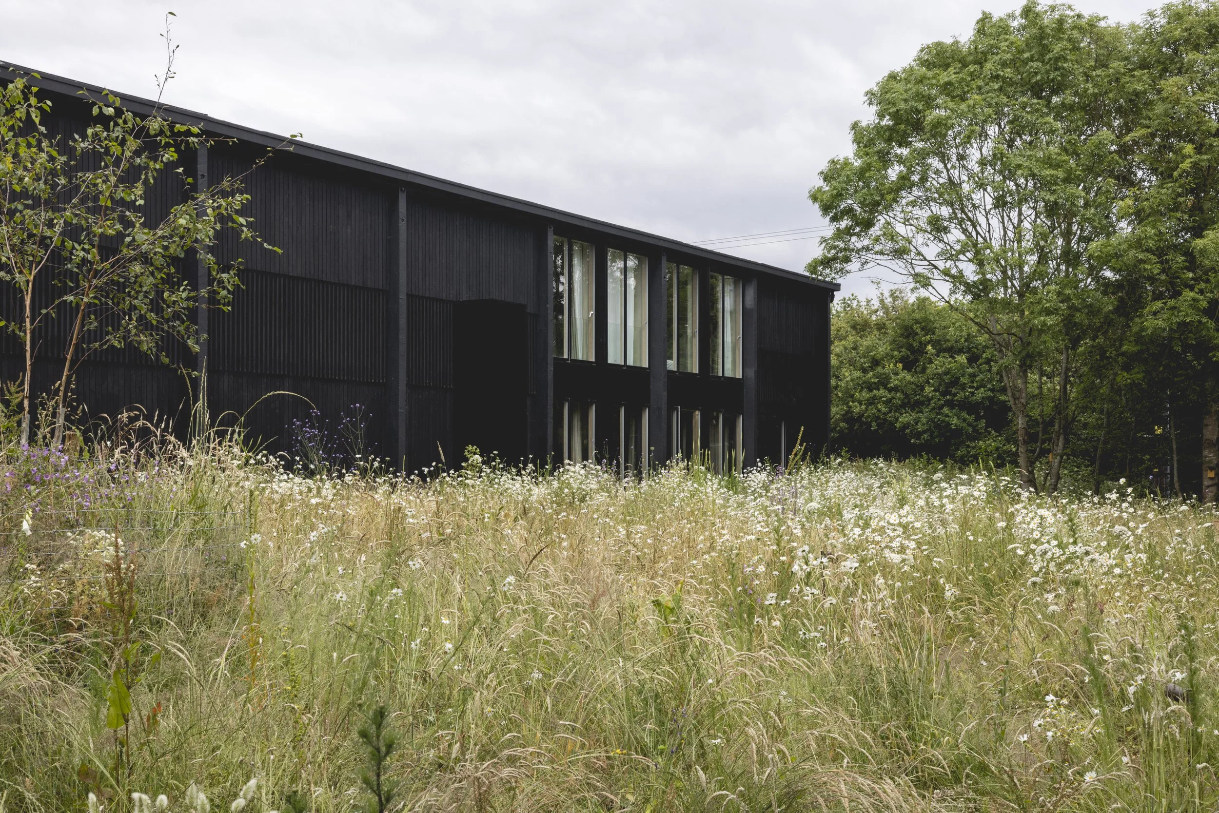 HighRes_Billy Bolton_Studio Kyson_Days Farm_240-Edit.jpg