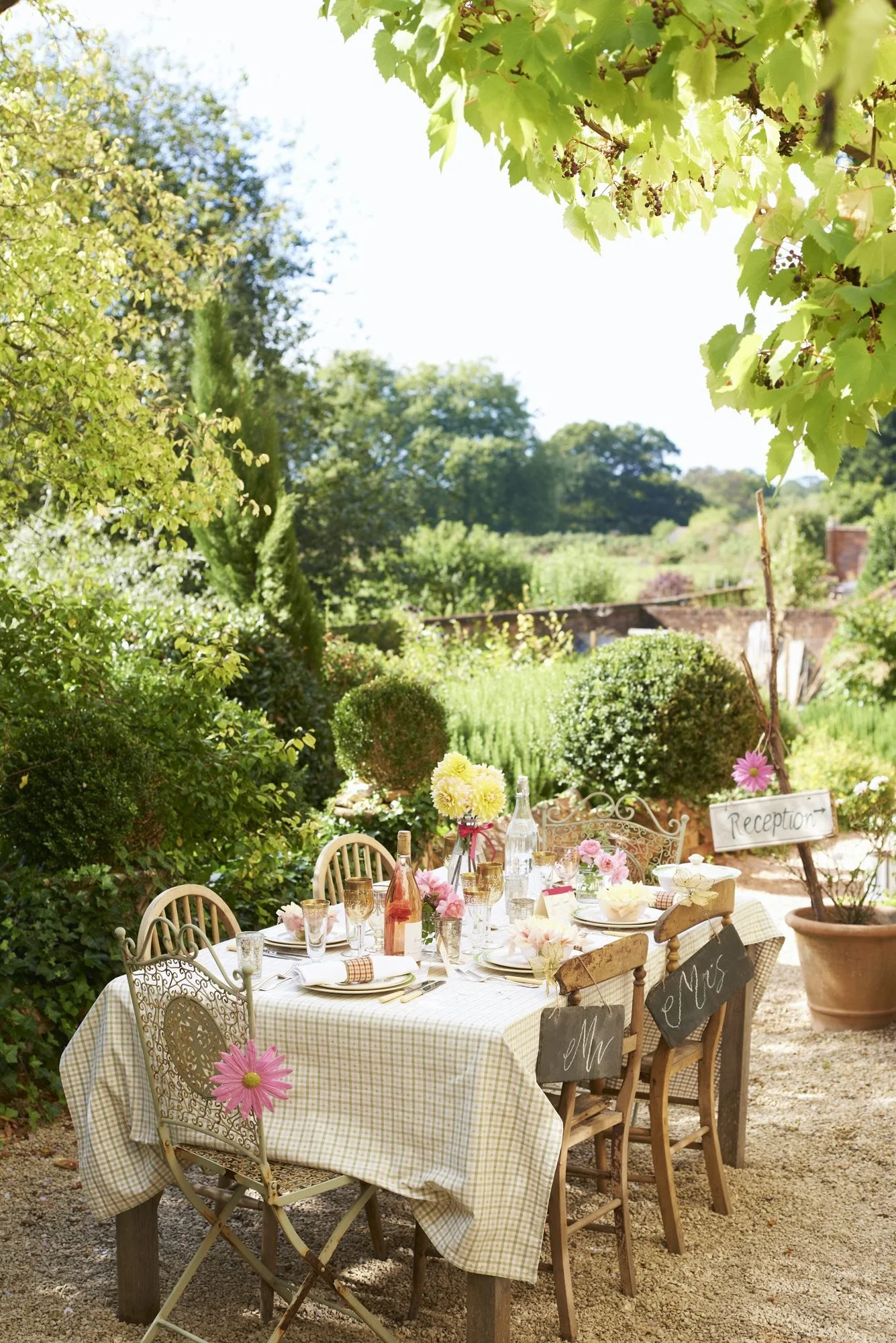 alfresco dining vine copy 3.jpg