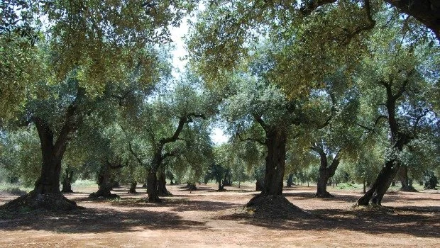 8. surrounding (4).jpg