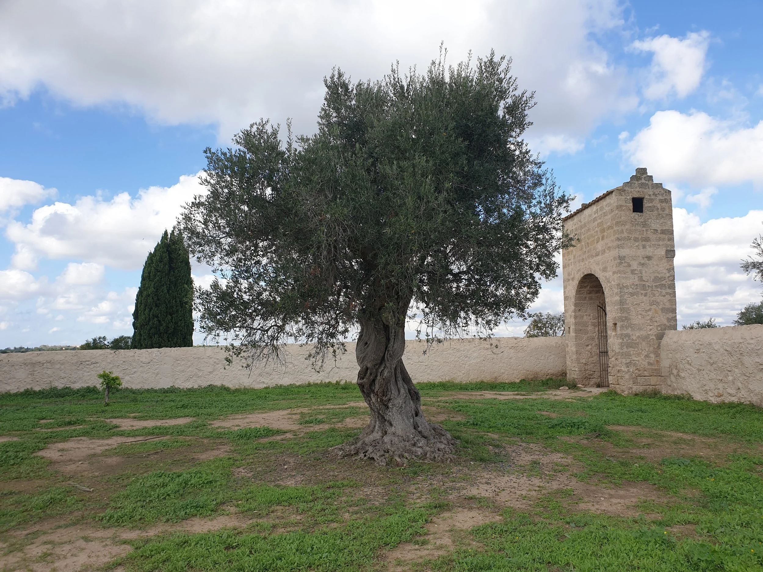 5. surroundings (15).jpg