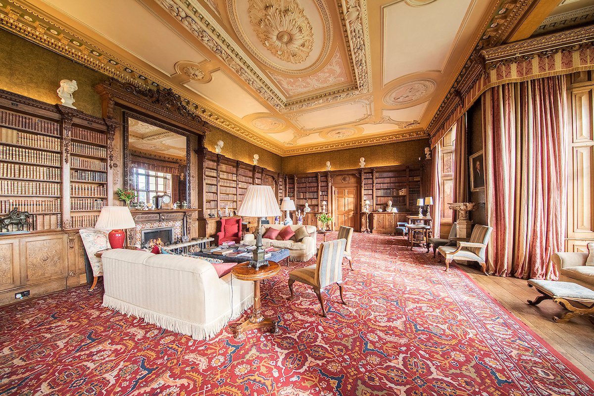 Library 4.jpg