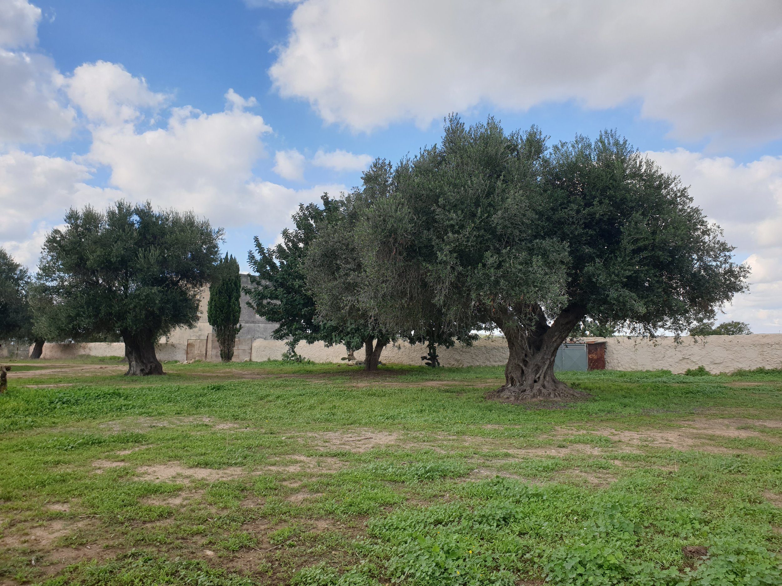 5. surroundings (16).jpg