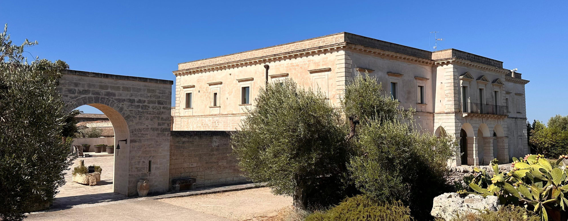 1. the building (1).png