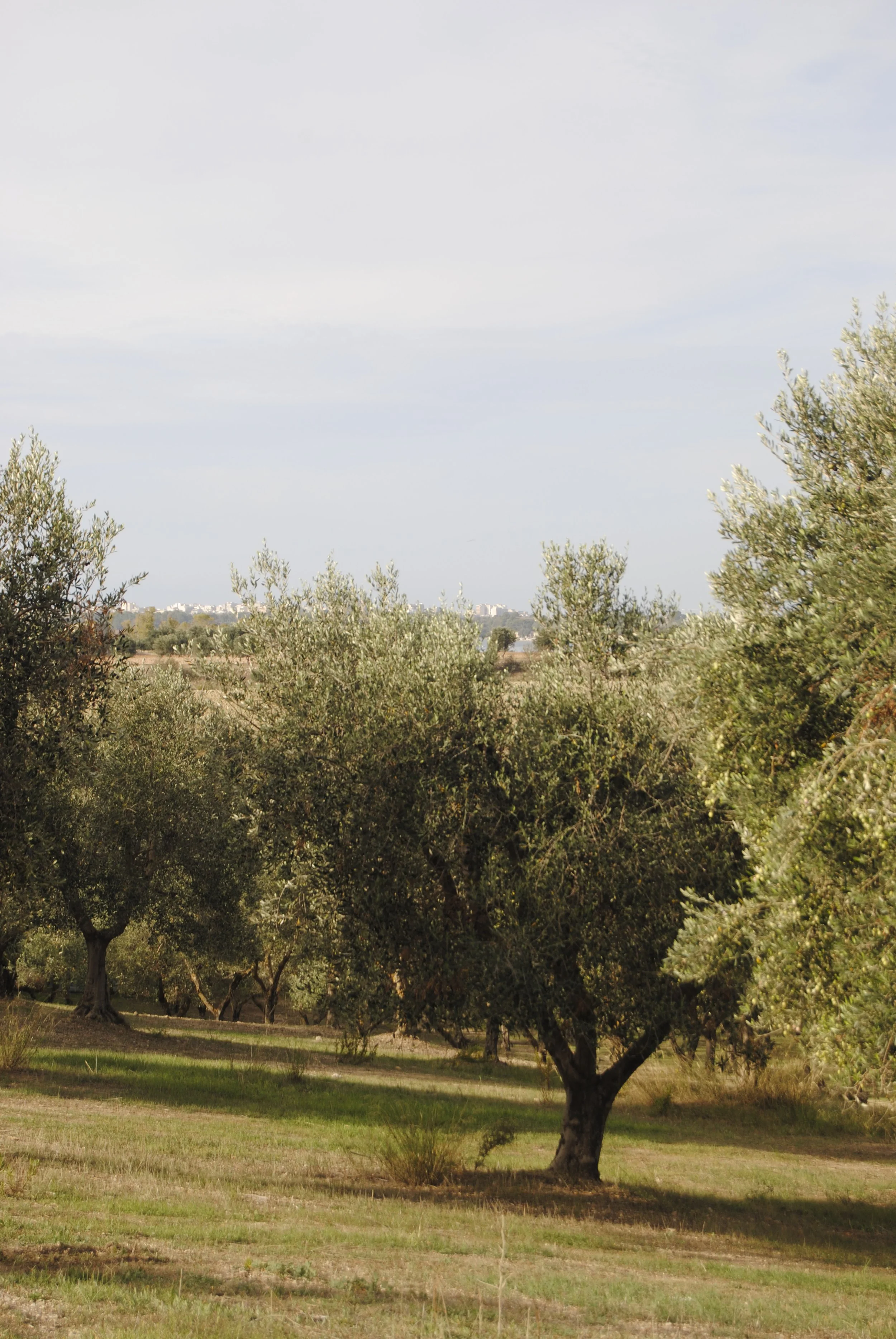 5. surroundings (2).JPG