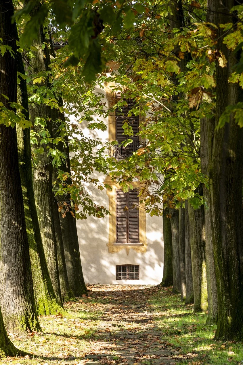 1. exteriors (4).jpg