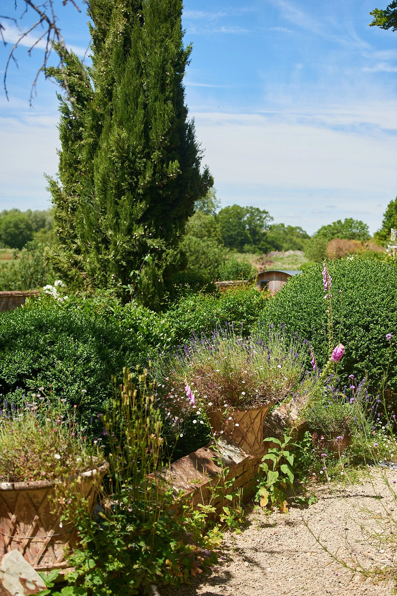 Belmont house garden 10 copy.jpg